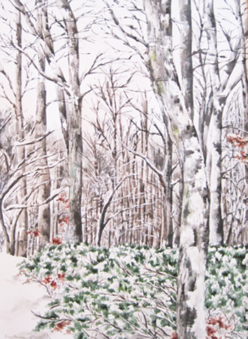 Winter Trees