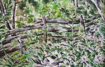 Woodland Fence